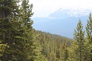 63 - Banff,Lake Louise,Morraine Lake  - IMG_0770